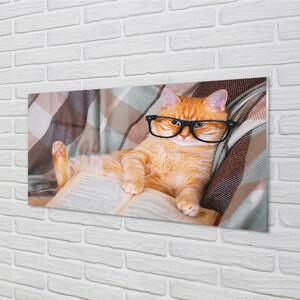 Nástenný panel  čitateľ cat 100x50 cm
