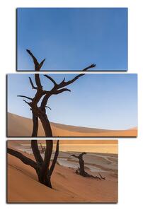 Obraz na plátne - Mŕtvy strom v dunach - obdĺžnik 7130C (90x60 cm)