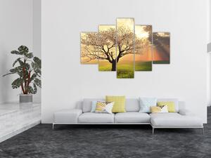 Obraz stromu na lúke (150x105 cm)