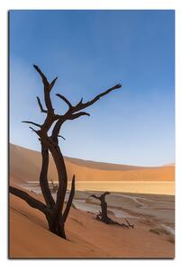 Obraz na plátne - Mŕtvy strom v dunach - obdĺžnik 7130A (120x80 cm)