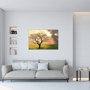 Obraz stromu na lúke (90x60 cm)