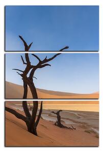 Obraz na plátne - Mŕtvy strom v dunach - obdĺžnik 7130B (90x60 cm )