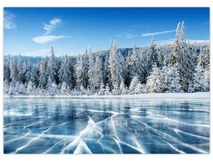 Obraz zamrznutého jazera a zasnežených stromov (70x50 cm)