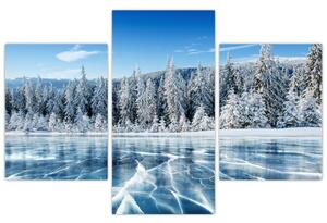 Obraz zamrznutého jazera a zasnežených stromov (90x60 cm)