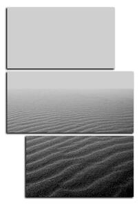 Obraz na plátne - Piesok v púšti - obdĺžnik 7127QD (90x60 cm)