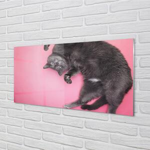 Nástenný panel  ležiace mačka 100x50 cm