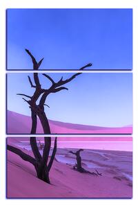 Obraz na plátne - Mŕtvy strom v dunach - obdĺžnik 7130FB (90x60 cm )