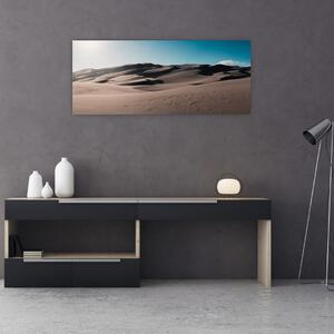 Obraz - Z púšte (120x50 cm)