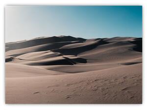 Obraz - Z púšte (70x50 cm)
