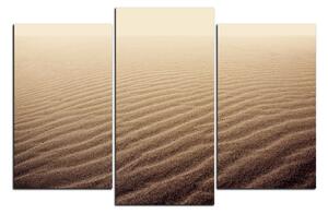 Obraz na plátne - Piesok v púšti 1127C (150x100 cm)