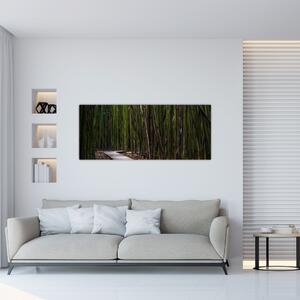 Obraz - Medzi bambusy (120x50 cm)