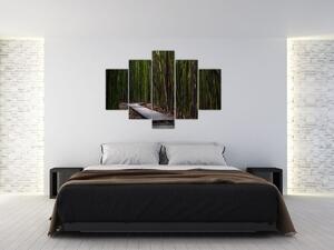 Obraz - Medzi bambusy (150x105 cm)