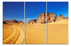 Obraz na plátne - Cesta v púšti 1129B (90x60 cm )
