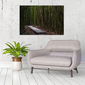 Obraz - Medzi bambusy (90x60 cm)