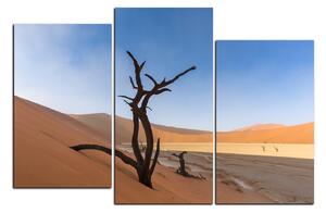 Obraz na plátne - Mŕtvy strom v dunach 1130D (150x100 cm)