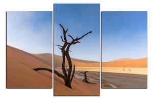 Obraz na plátne - Mŕtvy strom v dunach 1130C (150x100 cm)