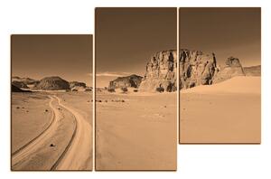Obraz na plátne - Cesta v púšti 1129FD (105x70 cm)