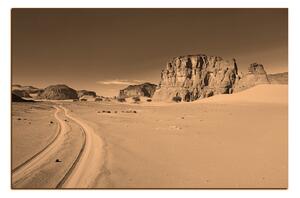 Obraz na plátne - Cesta v púšti 1129FA (120x80 cm)