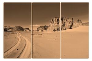 Obraz na plátne - Cesta v púšti 1129FB (90x60 cm )