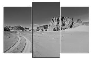 Obraz na plátne - Cesta v púšti 1129QC (90x60 cm)