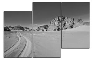Obraz na plátne - Cesta v púšti 1129QD (150x100 cm)