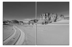 Obraz na plátne - Cesta v púšti 1129QE (150x100 cm)