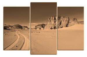 Obraz na plátne - Cesta v púšti 1129FC (150x100 cm)