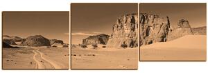 Obraz na plátne - Cesta v púšti - panoráma 5129FE (90x30 cm)