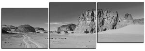 Obraz na plátne - Cesta v púšti - panoráma 5129QE (150x50 cm)
