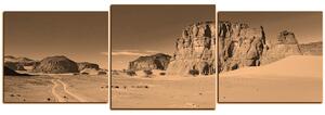 Obraz na plátne - Cesta v púšti - panoráma 5129FD (90x30 cm)