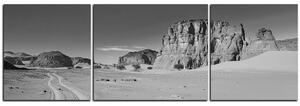 Obraz na plátne - Cesta v púšti - panoráma 5129QC (120x40 cm)