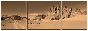 Obraz na plátne - Cesta v púšti - panoráma 5129FC (90x30 cm)
