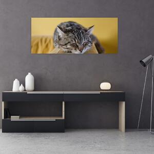 Obraz mačky na pohovke (120x50 cm)