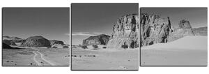 Obraz na plátne - Cesta v púšti - panoráma 5129QD (90x30 cm)