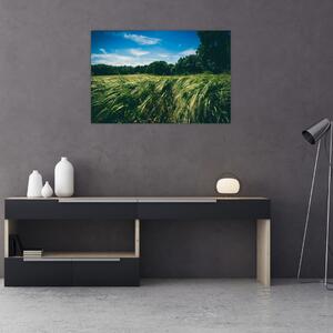 Obraz lúky a lesa (90x60 cm)