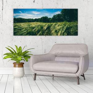 Obraz lúky a lesa (120x50 cm)
