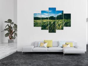 Obraz lúky a lesa (150x105 cm)