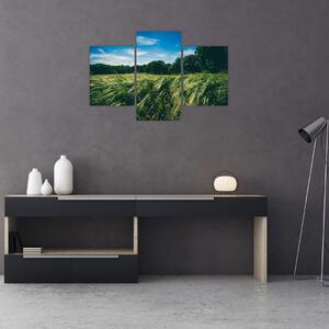 Obraz lúky a lesa (90x60 cm)