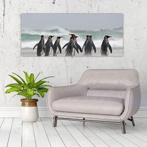 Obraz tučniakov pri oceáne (120x50 cm)