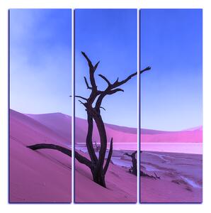 Obraz na plátne - Mŕtvy strom v dunach - štvorec 3130FB (75x75 cm)