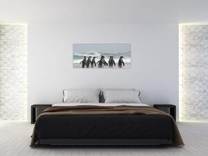 Obraz tučniakov pri oceáne (120x50 cm)