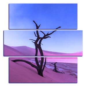 Obraz na plátne - Mŕtvy strom v dunach - štvorec 3130FD (75x75 cm)