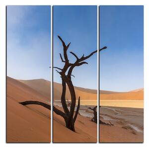 Obraz na plátne - Mŕtvy strom v dunach - štvorec 3130B (75x75 cm)