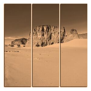 Obraz na plátne - Cesta v púšti - štvorec 3129FB (75x75 cm)