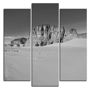 Obraz na plátne - Cesta v púšti - štvorec 3129QC (75x75 cm)