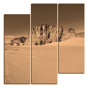 Obraz na plátne - Cesta v púšti - štvorec 3129FD (75x75 cm)