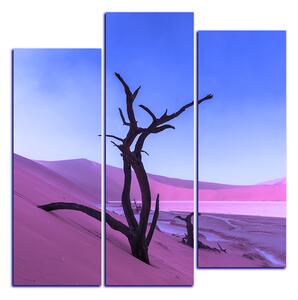 Obraz na plátne - Mŕtvy strom v dunach - štvorec 3130FC (75x75 cm)