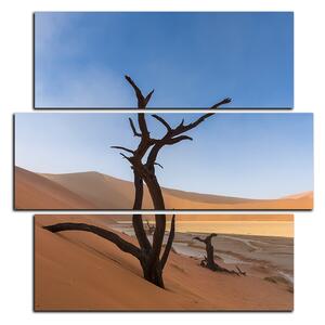 Obraz na plátne - Mŕtvy strom v dunach - štvorec 3130D (75x75 cm)