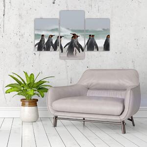 Obraz tučniakov pri oceáne (90x60 cm)
