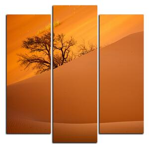 Obraz na plátne - Červené piesočné duny - štvorec 3133C (75x75 cm)